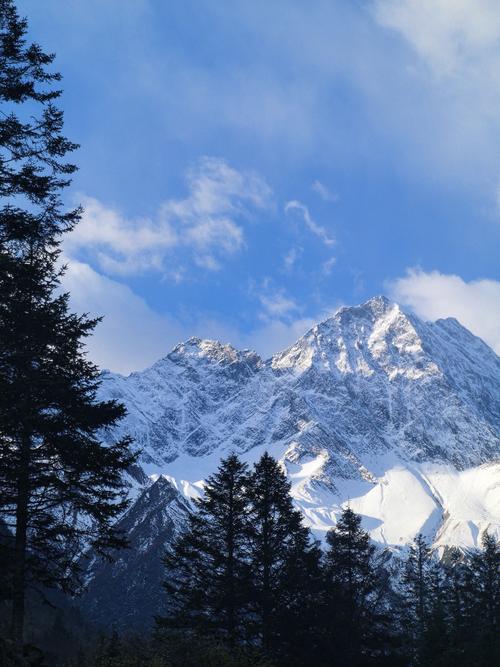 《微信商城服务器配置全攻略：5步打造零延迟购物体验》